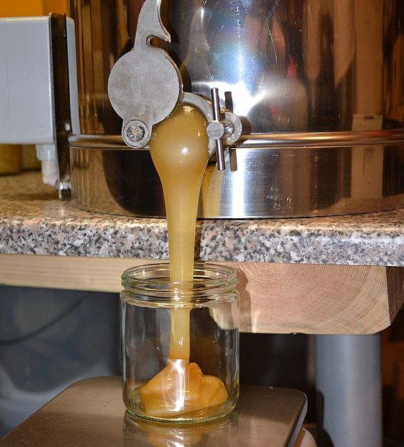 Honig fließt aus dem Abfüllhahn eines Edelstahlbehälters in ein Glas.