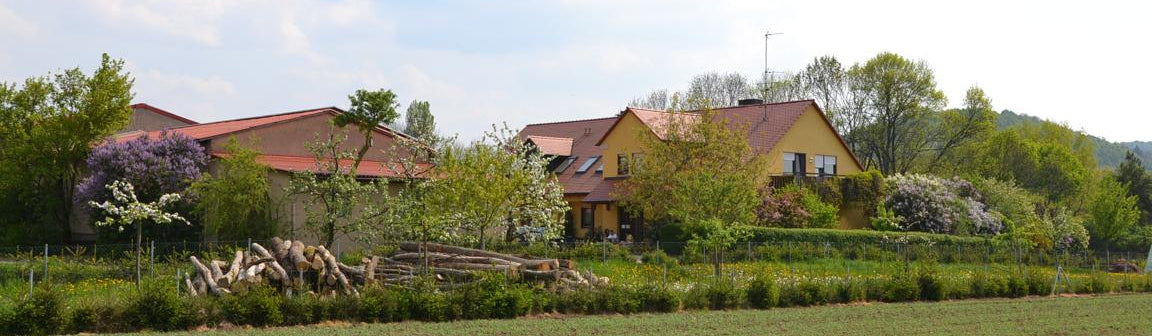 Bienenhof Keil von Hüttenheim