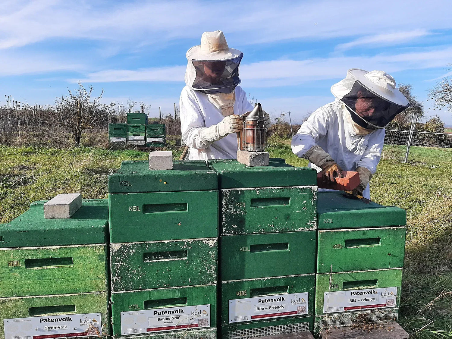 Bienenpatenschaft - Imkerei hautnah erleben mit 12 Gläsern Honig - Bienenhof-Keil-Shop