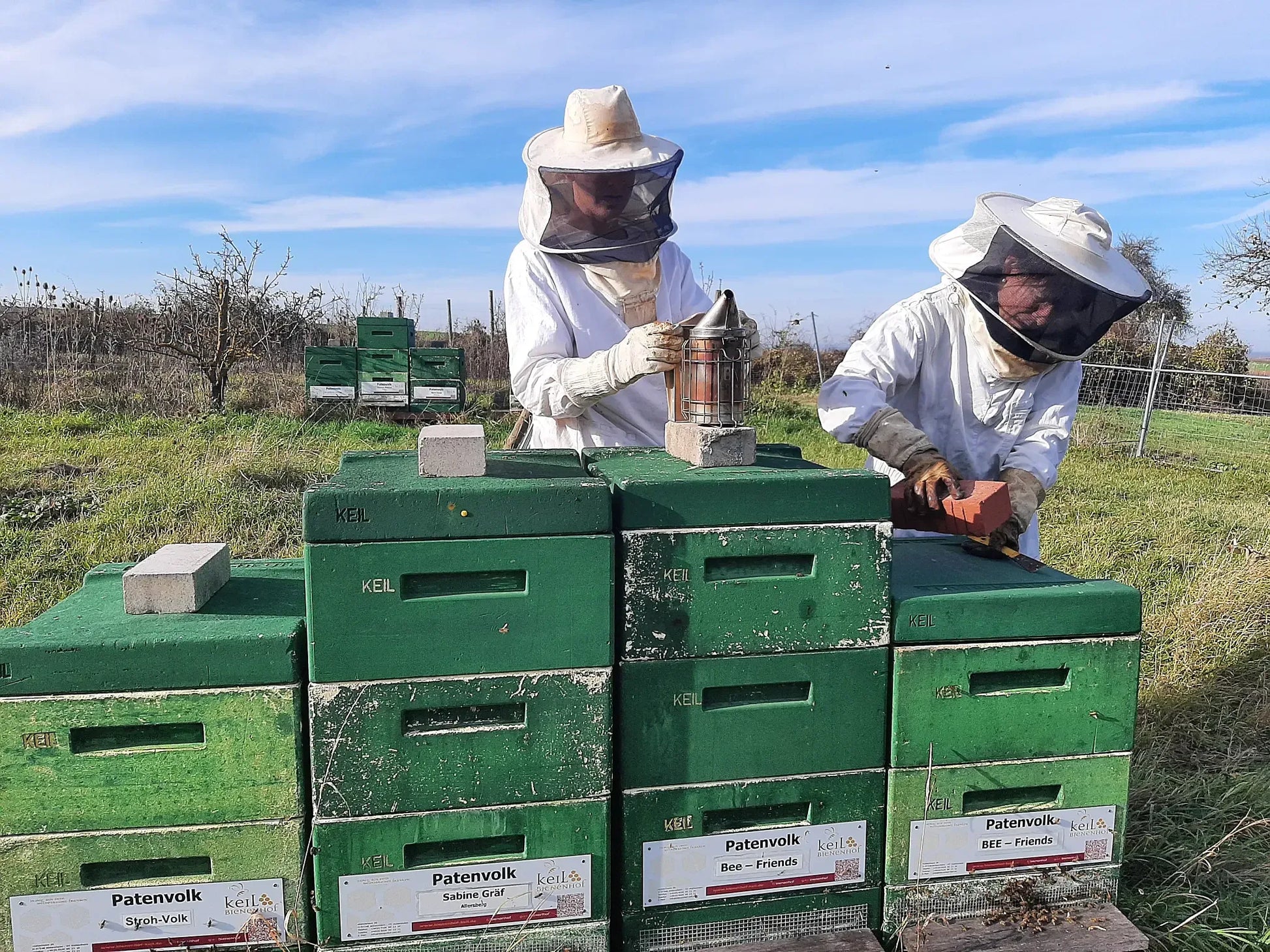 Bienenpatenschaft - Imkerei hautnah erleben mit 12 Gläsern Honig - Bienenhof-Keil-Shop