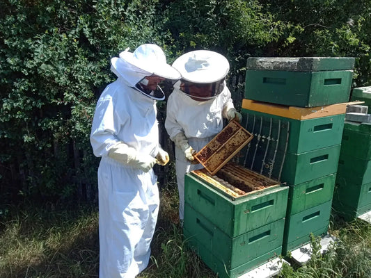 Bienenpatenschaft - Imkerei hautnah erleben mit 12 Gläsern Honig - Bienenhof-Keil-Shop