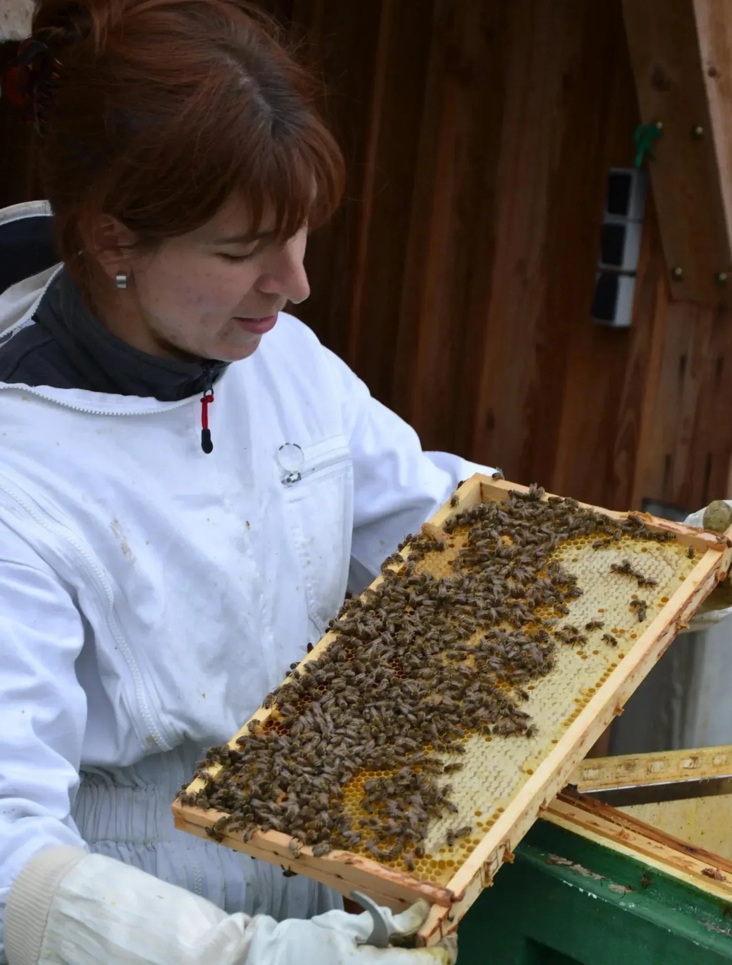 Bienenführung für 2 Personen - Imkerei erleben inkl. Honig - Bienenhof-Keil-Shop